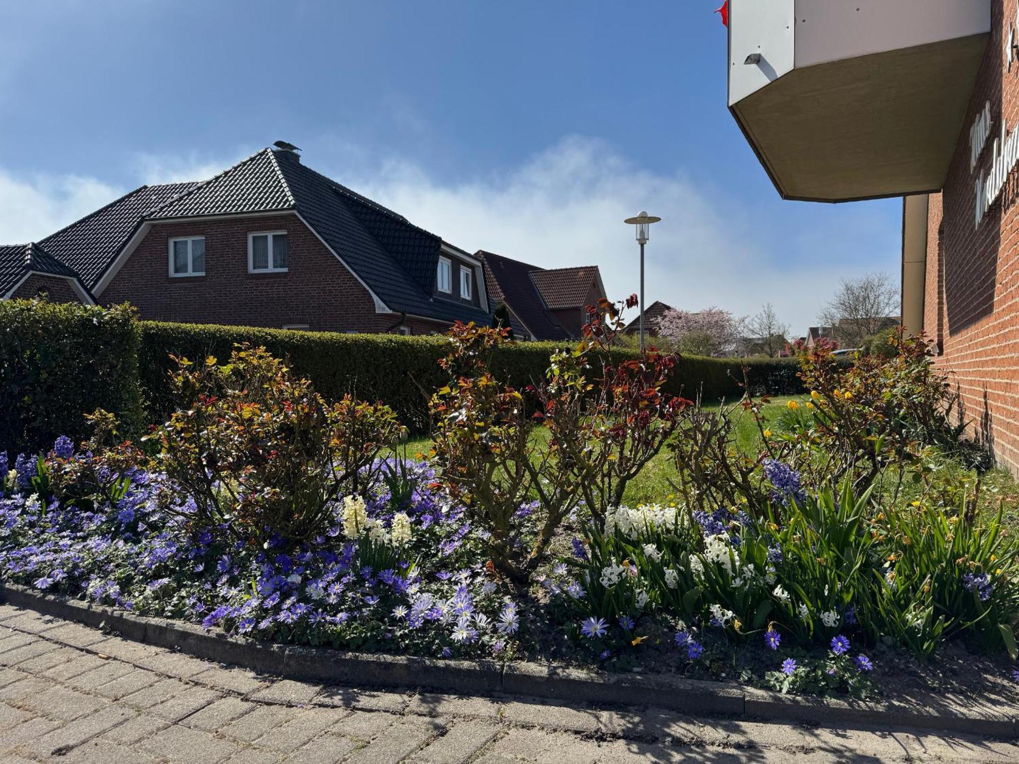 Haus Nordstrand Büsum Dış mekan fotoğraf