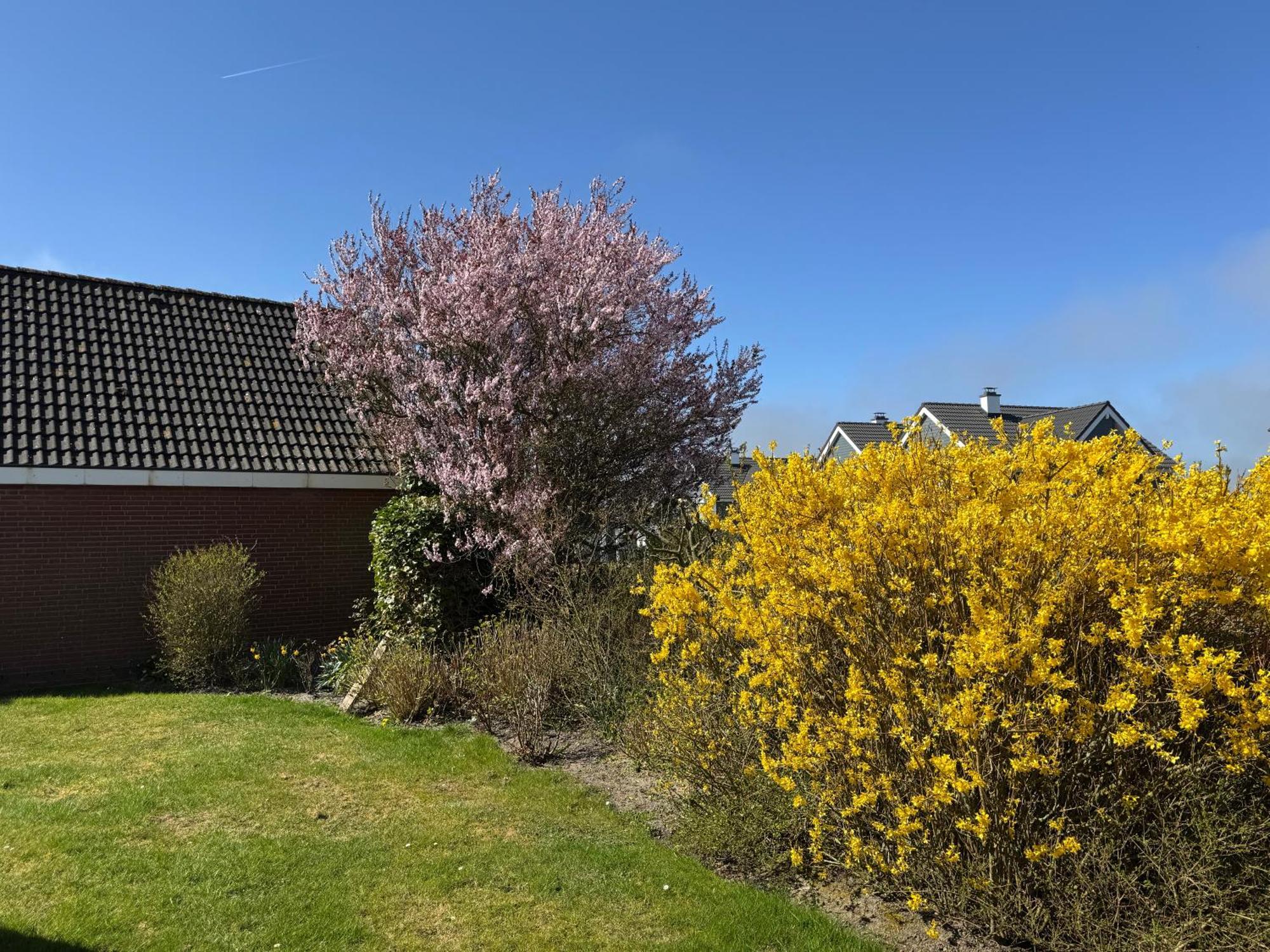 Haus Nordstrand Büsum Dış mekan fotoğraf